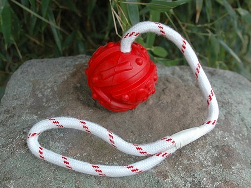 Ball am Band, schwimmend, Naturgummi, Ø 7cm/35cm