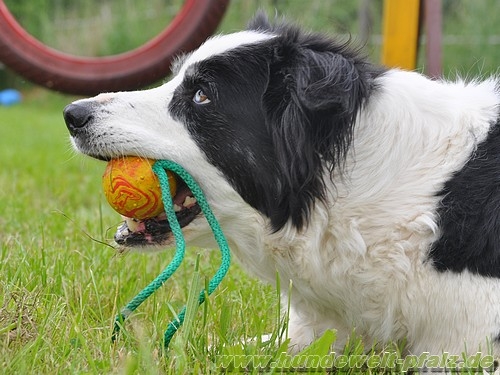 Vollgummiball an Schnur, ca. 6cm