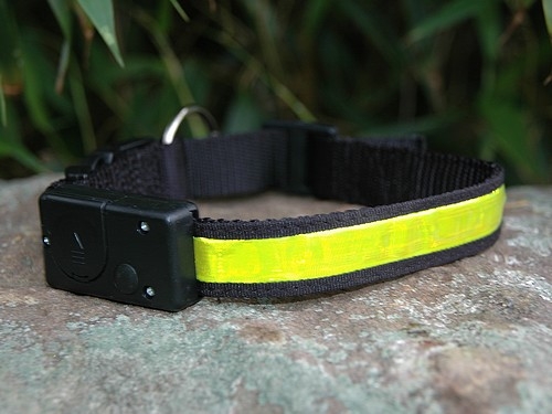 Sicherheitshalsband "Reflect" mit LED´s, Größe 3