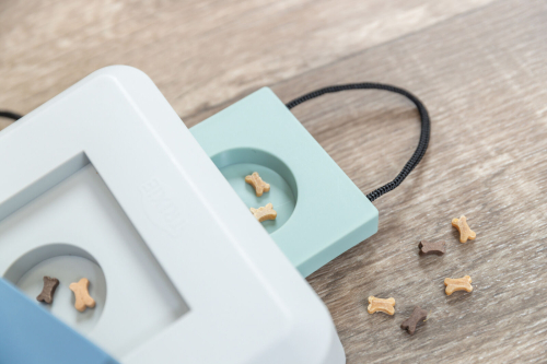 Dog Activity Brettspiel Gamble Box