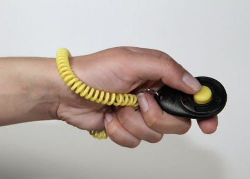 Starmark Pro-Training Clicker Deluxe mit Armband, Schwarz