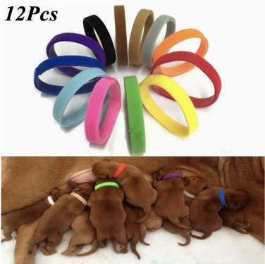 Welpenhalsbänder (12 Stk.) mit Klettverschluß