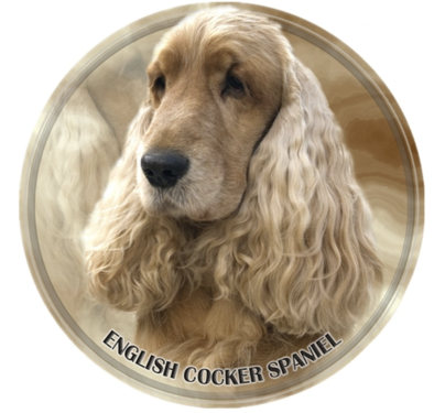 Aufkleber Cocker Spaniel, rund 13cm
