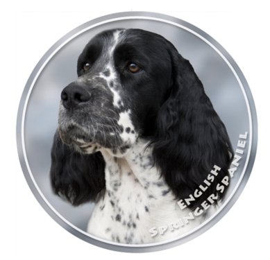 Aufkleber Springer Spaniel, Schwarz, rund 13cm