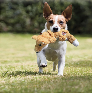 Hundespielzeug KONG® Scrunch Knots Fuchs