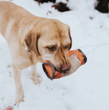 Hunter Trainer Snack Dummy Tough Pombas 20cm