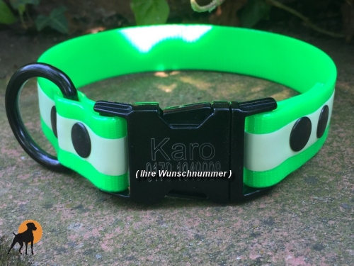 HWP Biothane Glow Maßhalsband 25mm mit Metallschluß und Gravur
