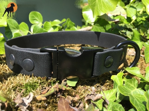 Biothane Maßhalsband BLACK EDITION, 25mm, Beschläge und Vernietung schwarz