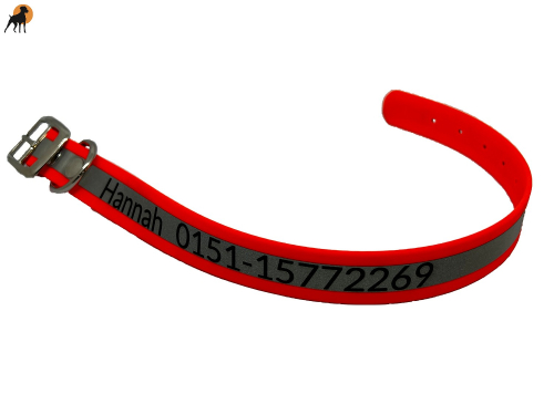 Biothane Beta Reflective Halsband Classic 1, mit Lasergravur, Breite: 25mm