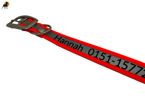 Biothane Beta Reflective Halsband Classic 1, mit Lasergravur, Breite: 25mm