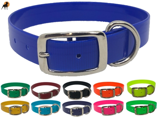 Biothane Gold Transculent Halsband Classic, Dornschnalle rund, Breite: 25mm