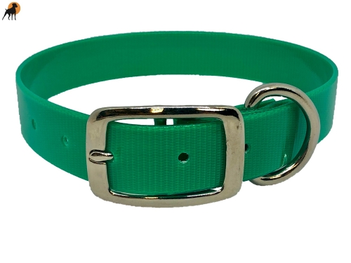 Biothane Gold Transculent Halsband Classic, Dornschnalle rund, Breite: 25mm