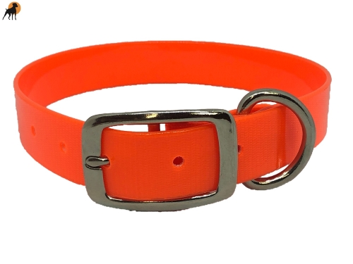 Biothane Gold Transculent Halsband Classic, Dornschnalle rund, Breite: 25mm