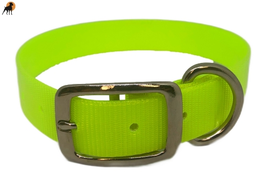 Biothane Gold Transculent Halsband Classic, Dornschnalle rund, Breite: 25mm