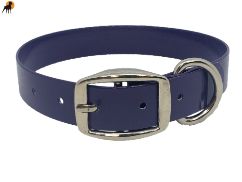 Biothane Gold Transculent Halsband Classic, Dornschnalle rund, Breite: 25mm