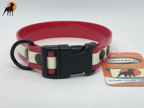 HWP Biothane Glow Maßhalsband FUN 25mm, fluoriszierend, mit Wienerlock PVC Verschluß