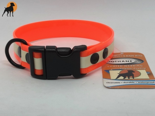 HWP Biothane Glow Maßhalsband FUN 25mm, fluoriszierend, mit Wienerlock PVC Verschluß