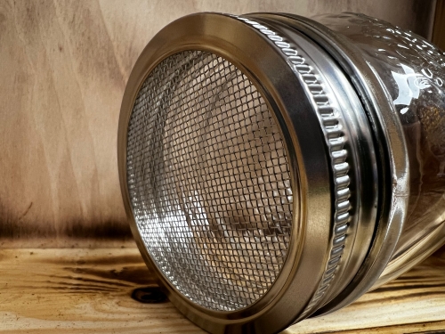 Moonshine Glasaufsatz Sprossen-Keimdeckel