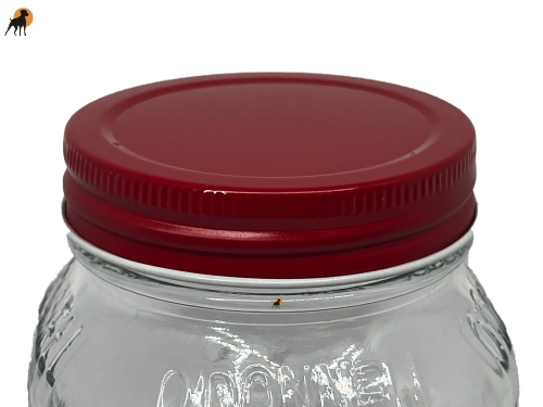 Ersatzdeckel für Moonshine Gläser, 70mm, rot