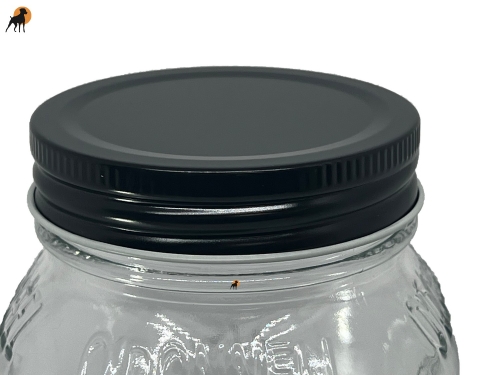 Ersatzdeckel für Moonshine Gläser, 70mm, schwarz