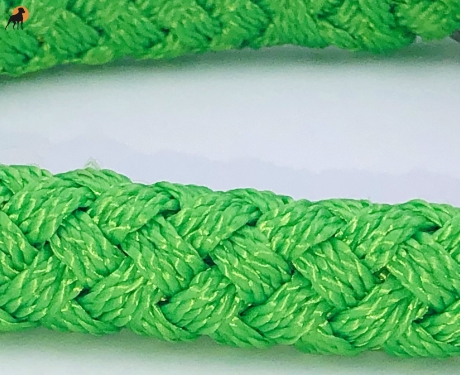 G2 Tauwerk Halsband Basic, rund geflochten, mit Zugstop, Apple