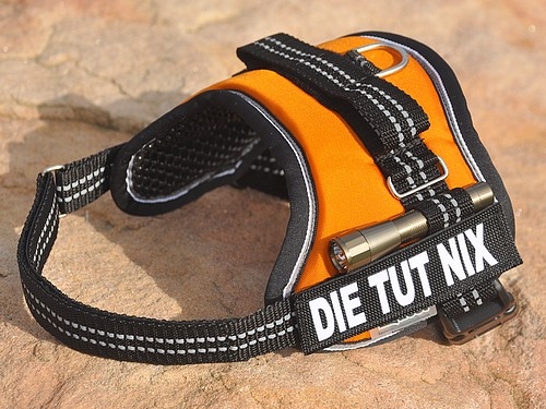 Equest 4 Dogs Premium Logo-Geschirr, Größe S, versch. Farben