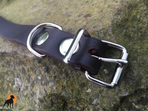 HWP Fettleder Halsband Basic Chrom, Breite: 19mm