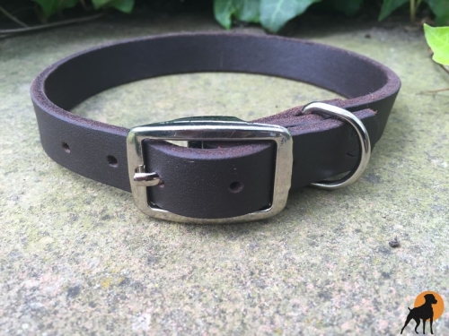 HWP Fettleder Halsband Classic, Breite: 19mm