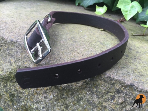 HWP Fettleder Halsband Classic, Breite: 19mm