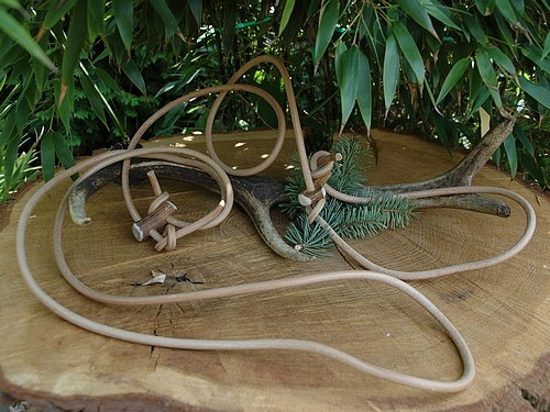 Flüsterleine 6mm x 320cm aus Rundleder, mit Hornteilen