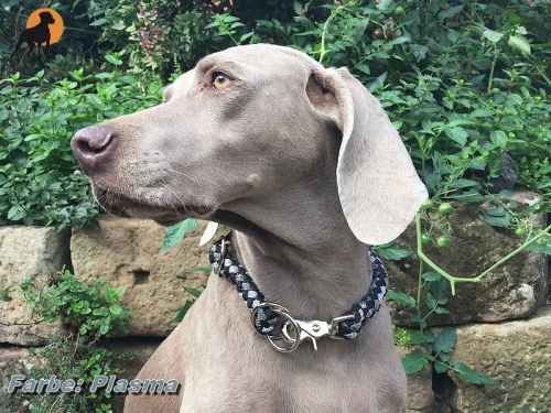 Tauwerk Halsband G2 Snap Sport 12mm, mit Schnellverschluß, Beschläge vernickelt