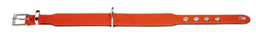 Hunter Halsband Reflect, 50cm x 39mm, Orange