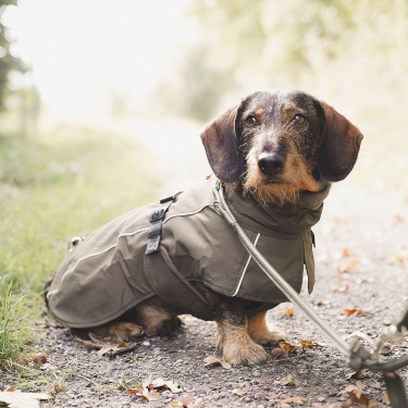 Hundemantel Nordby Dachshund, oliv