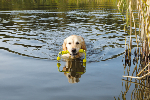 Ekard Lind Long-Mot 20cm, schwimmfähig