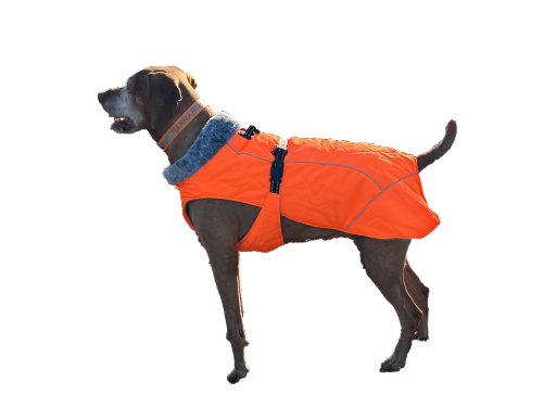 Hundemantel mit Plüsch-Kragen und Führgurt, Signalorange