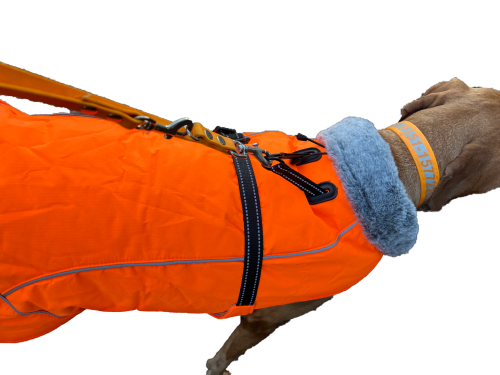 Hundemantel mit Plüsch-Kragen und Führgurt, Signalorange