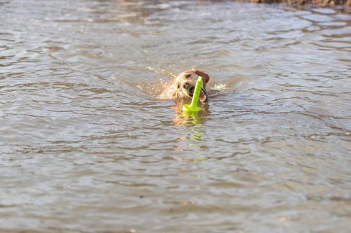 Lind Wasserspielzeug MOT-Aqua, gelb
