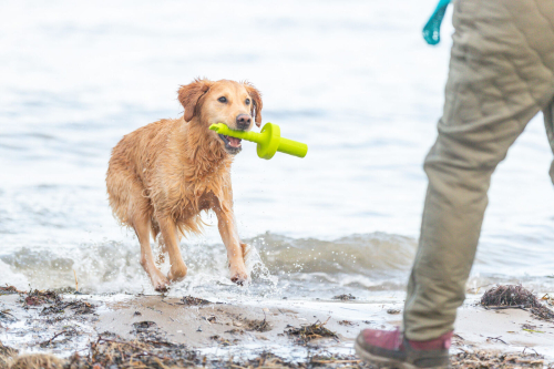 Lind Wasserspielzeug MOT-Aqua, gelb