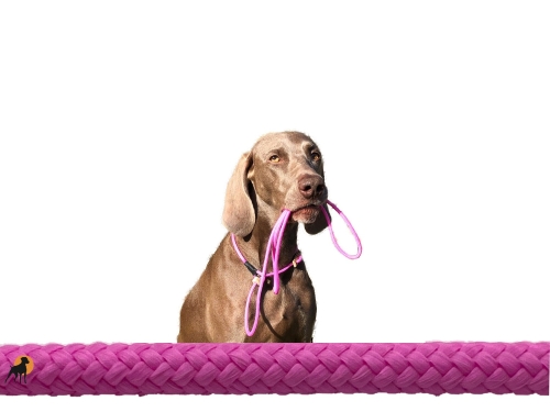 HWP Moxonleine mit Zugstop, Handmade, 6mm x 130cm, Hot-Pink