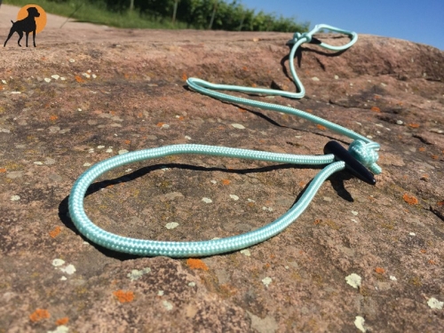 Moxon Führleine 6mm x 110cm, mit Holzknebeln, Mint