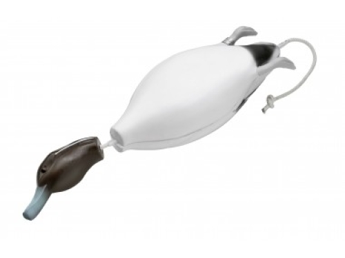 Dokken Deadfowl Trainer Pintail