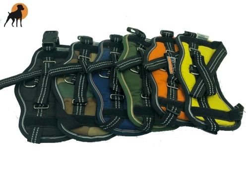 Equest 4 Dogs Premium Logo-Geschirr, Größe S, versch. Farben
