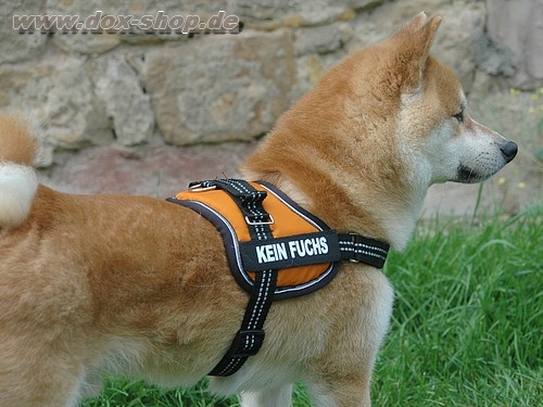 Equest 4 Dogs Premium Logo-Geschirr, Größe S, versch. Farben