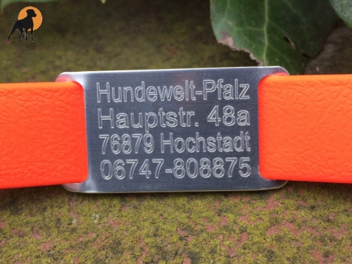 Halsband Gravurplatte / DogTag für Bänder bis 20mm, inkl. Wunschgravur