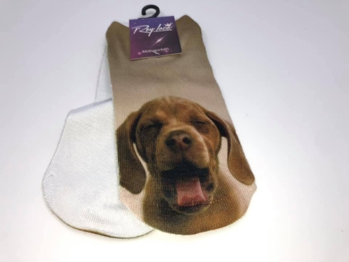 Sneaker-Motivsocken, Motiv: Magyar Vizsla, Einheitsgröße bis Gr. 38/39