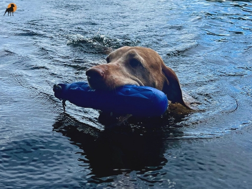 EVA Wasserdummy 29x5,5cm, am Wurfseil