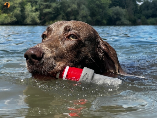 Trixie Aqua Toy Leuchtturm am Seil 26cm