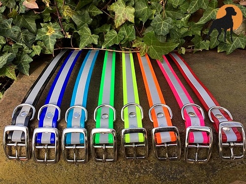 Biothane Reflective Halsband mit Dornschnalle rund, Breite: 25mm