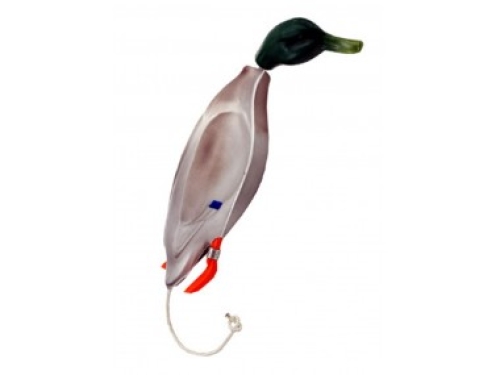 Dokken Dead Fowl Trainer Stockente, klein