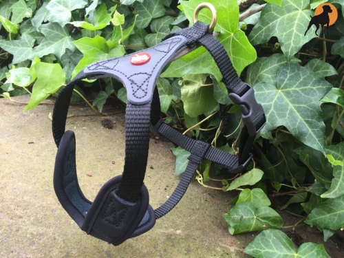 Niggeloh Führgeschirr Follow Start Schwarz